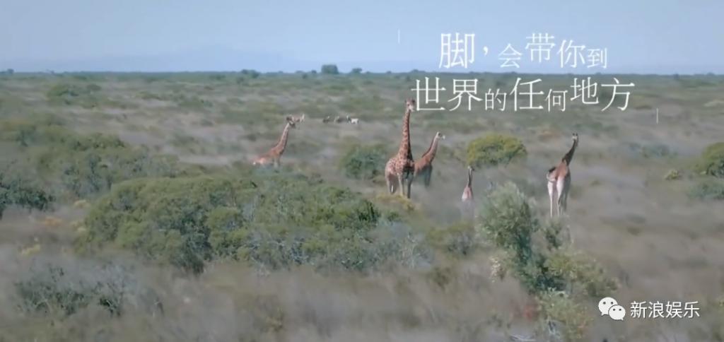 破案了，大神是她