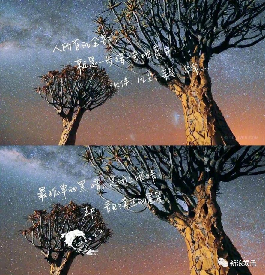 破案了，大神是她