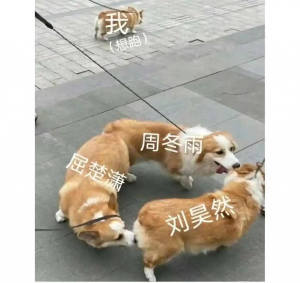 这段三角恋，大概是被低估了