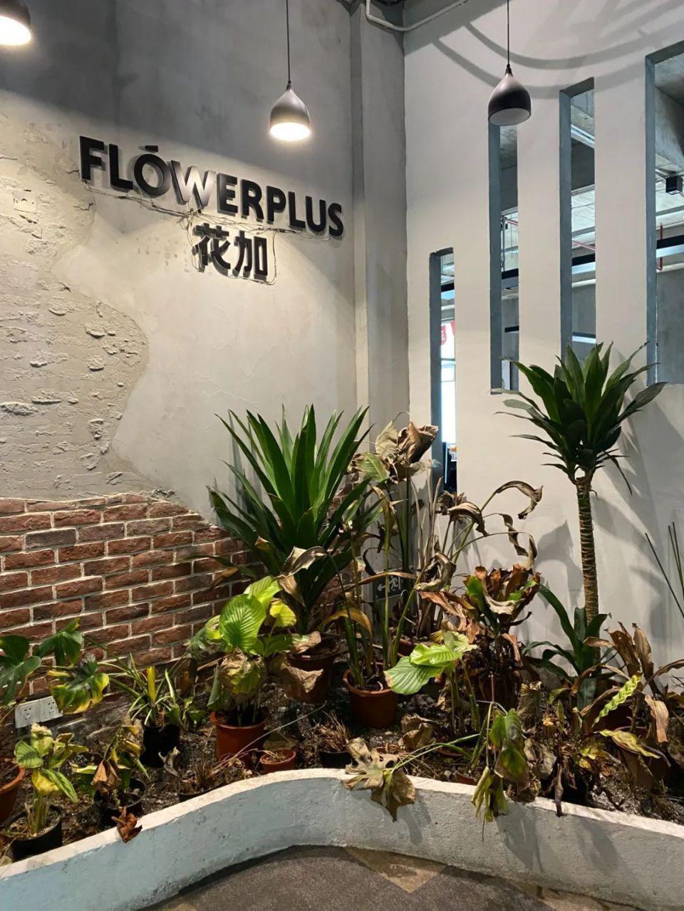 距离破产仅剩最后一步？花加创始人：我不想卖惨，只想活下去
