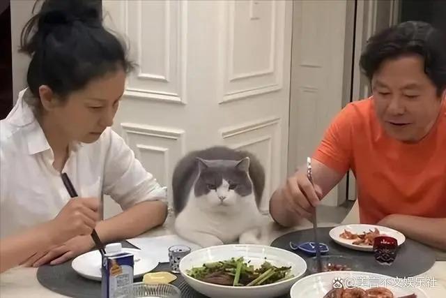 57岁演员三代定居美国,高调炫耀奢华生活,网友沉默了