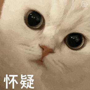 这个瓜，他已经疯魔了？