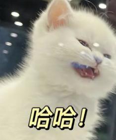 又被爆新恋情？？