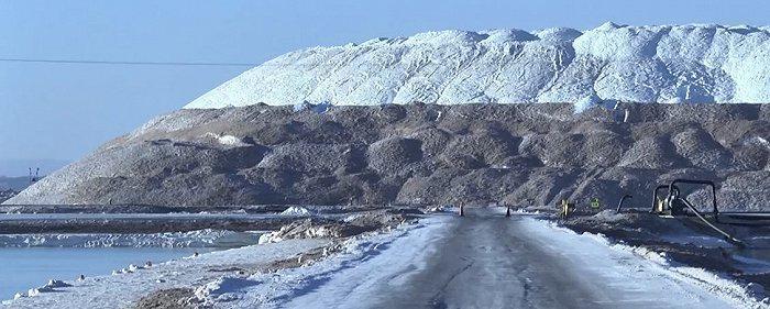 和中国电池沾点边就扣补贴，我都想替美国车企哭。。。