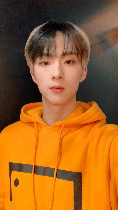 鼠鼠我呀，要称霸内娱了