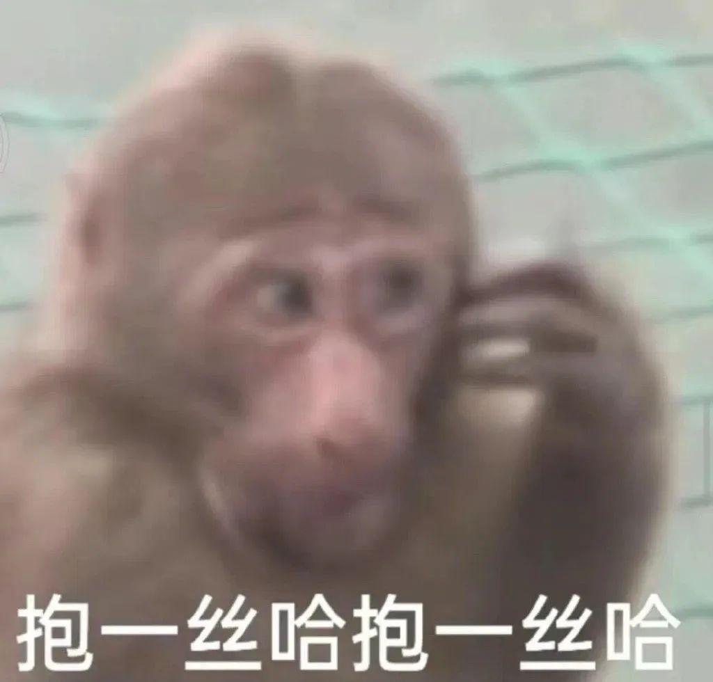 GQ才是最疯的 ​