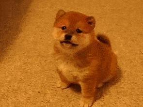 打压式教育？德云社“少班主”郭麒麟一直“伤自尊”成长？