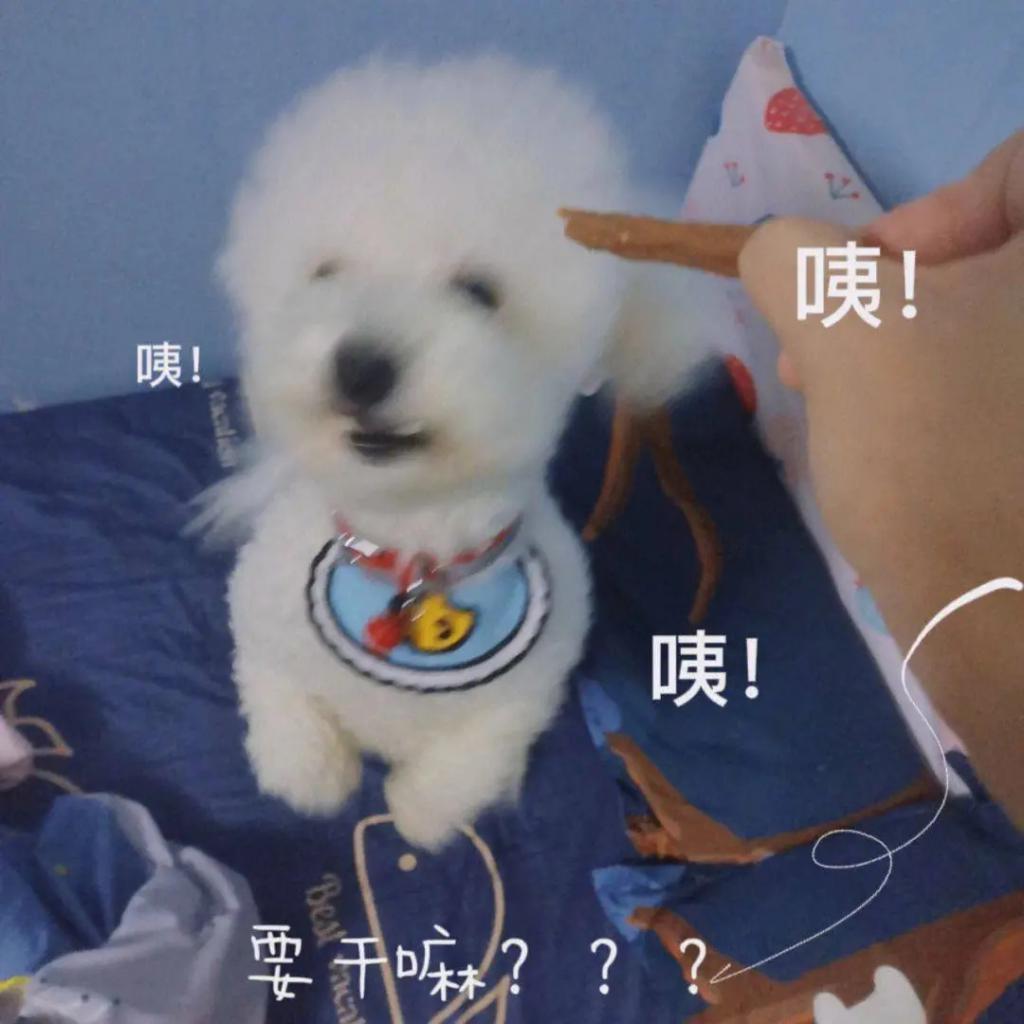 打压式教育？德云社“少班主”郭麒麟一直“伤自尊”成长？