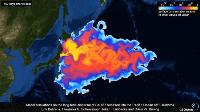 日本千吨死鱼涌向海岸，外媒怒骂核废水污染？