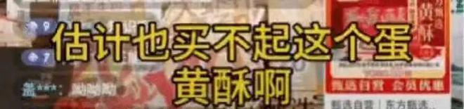 东方小孙10天就把自己干离职？