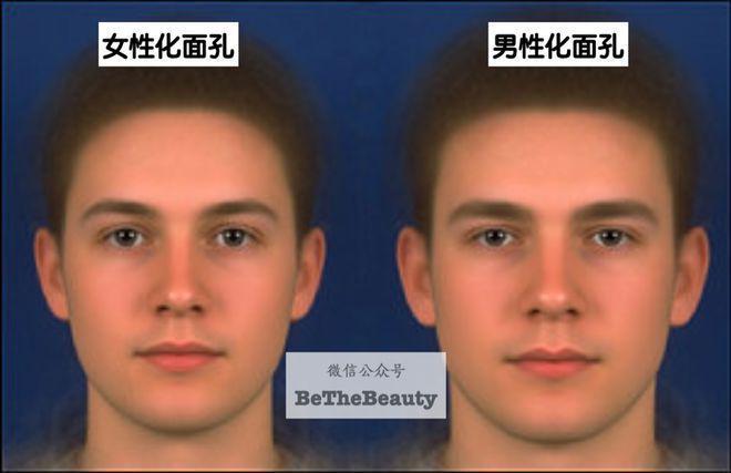 性张力vs性缩力：到底差在哪？
