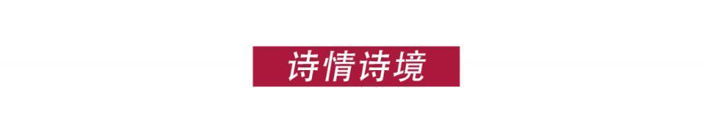 疯了！国产综艺还能这么玩？