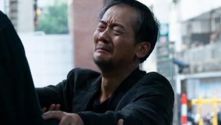 陈思诚爱错了兄弟