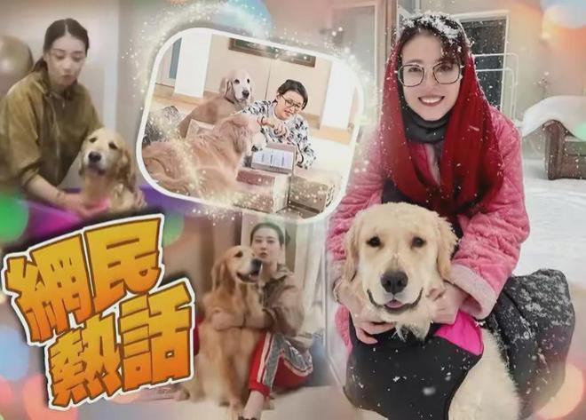 周海媚去世留下4亿资产 3兄妹拒绝继承