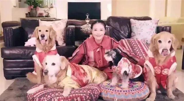独居离世的周海媚，当初要是生个孩子就好了？？？