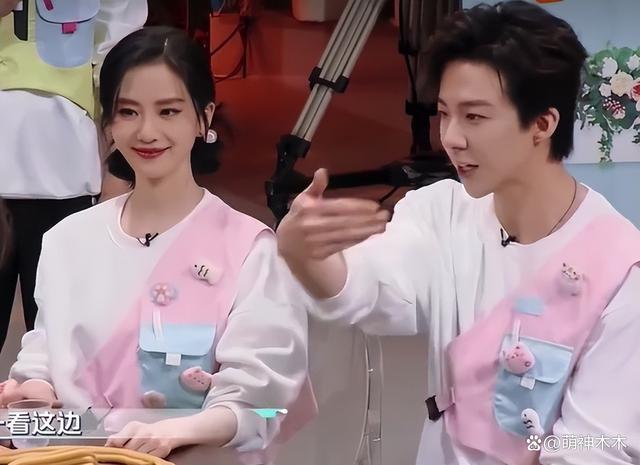 刘诗诗上综艺被吐槽无聊又端着，玩游戏不懂规则