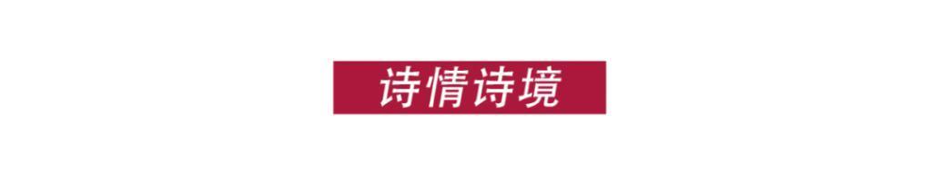 疯了！国产综艺还能这么玩？