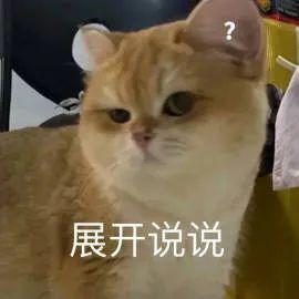 1999元…这顶配新机，绝对是来捣乱的