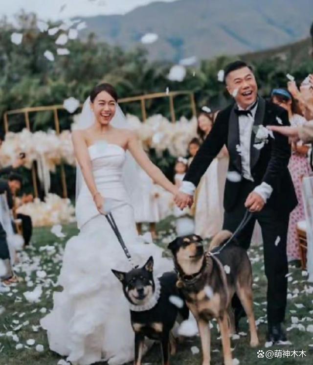 TVB视帝马国明泰国苏梅岛办婚礼，婚礼排场完胜前任