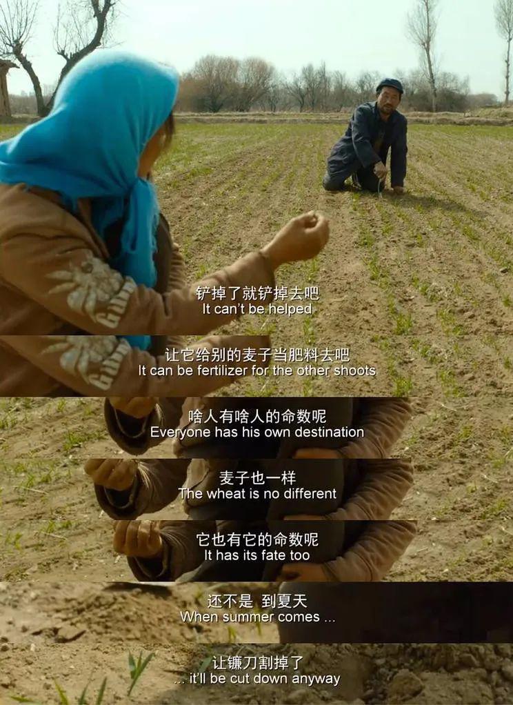 海清，从没受过这种委屈