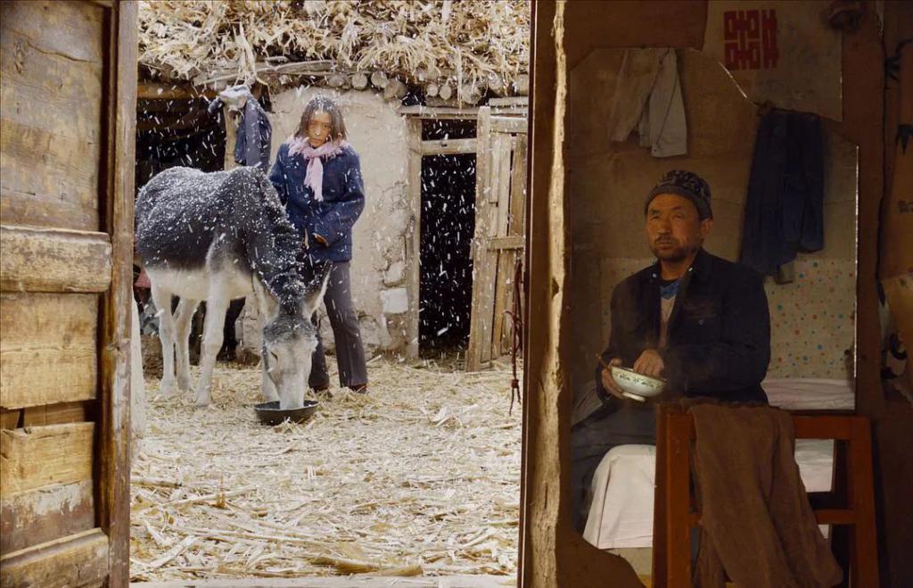 海清，从没受过这种委屈