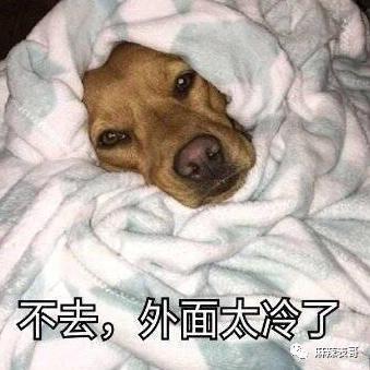 用力过猛的也太多了吧？