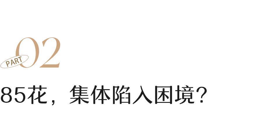 吵上热搜的杨幂赵丽颖，真该急了