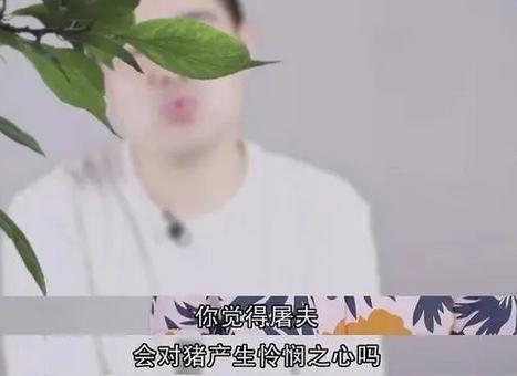 她的节目回归，无条件五星