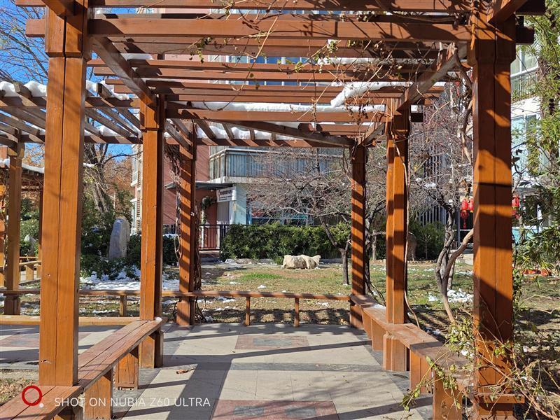 还原相机的三大焦段！努比亚Z60 Ultra评测：2023最懂影像的手机非它莫属