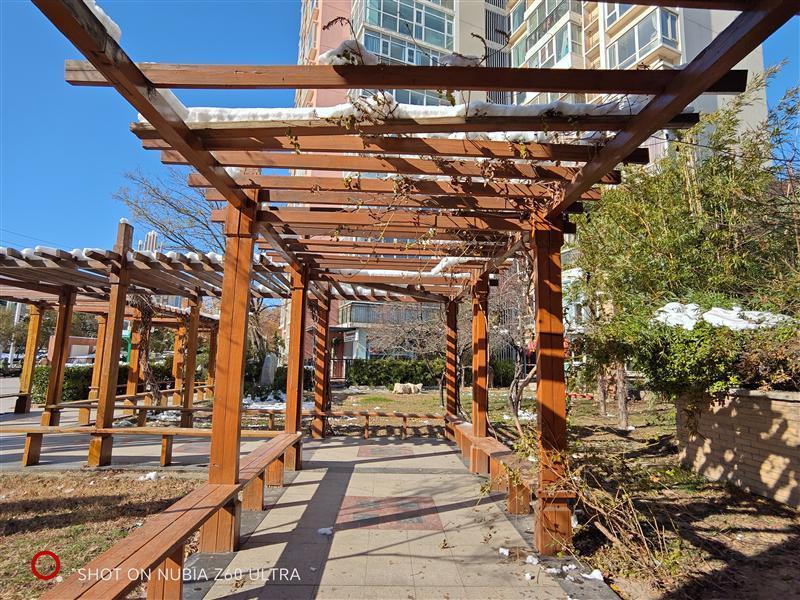 还原相机的三大焦段！努比亚Z60 Ultra评测：2023最懂影像的手机非它莫属