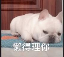 火速封号！狂蹭董宇辉的西方臻选，就该被封杀