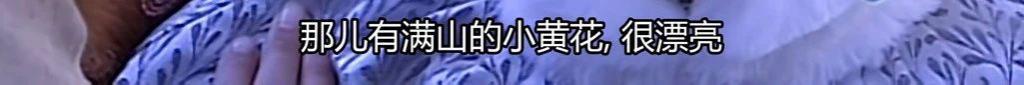 她这一死，成就神剧之巅