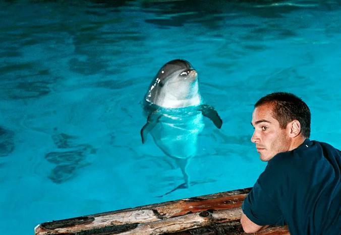 这片不该票房这么惨