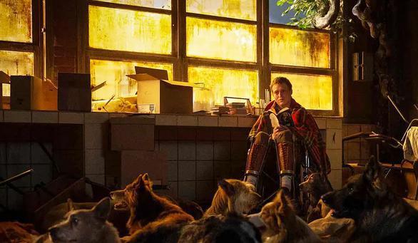 这片不该票房这么惨