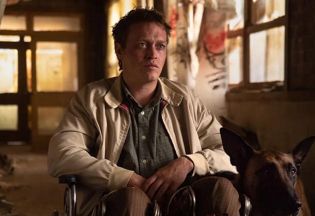 这片不该票房这么惨