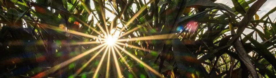 比尔·盖茨年度展望：未来之路将在2024年迎来转折点