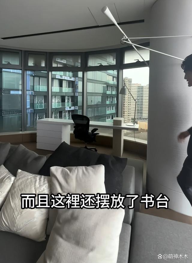 洗米华入狱小三生活滋润，甩卖八千万豪宅，装修充满情趣