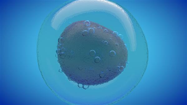 小伙收到一条求助信息：为捐献干细胞 4个月狂减30斤