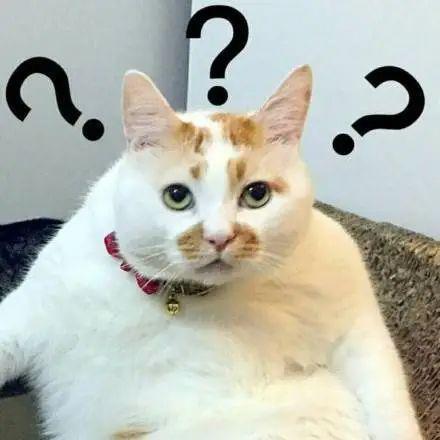 Apple Watch 将被禁售？​苹果急了？