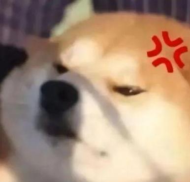 好家伙，这对夫妻开辟了一个圈内新词：“内疚粉”