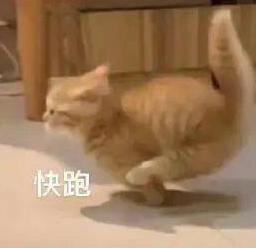 好家伙，这对夫妻开辟了一个圈内新词：“内疚粉”