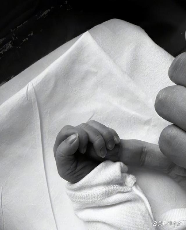 2023年结婚明星:胡歌一步到位,还有三对奉子成婚