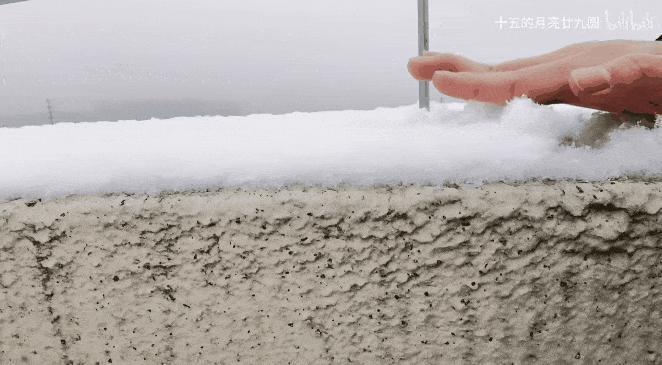 北方人的玩雪大赛，看呆了多少南方麻瓜