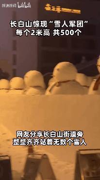 北方人的玩雪大赛，看呆了多少南方麻瓜