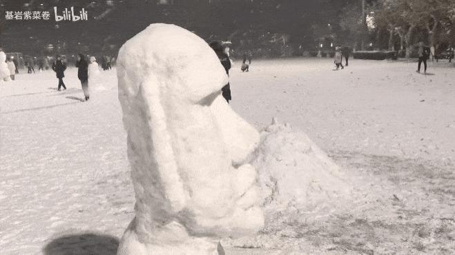 北方人的玩雪大赛，看呆了多少南方麻瓜