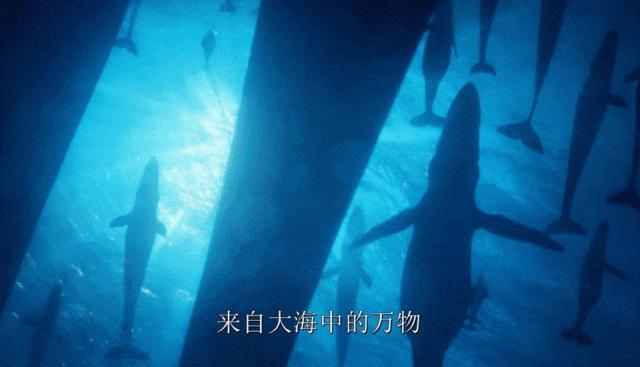 好爱看他俩雄竞