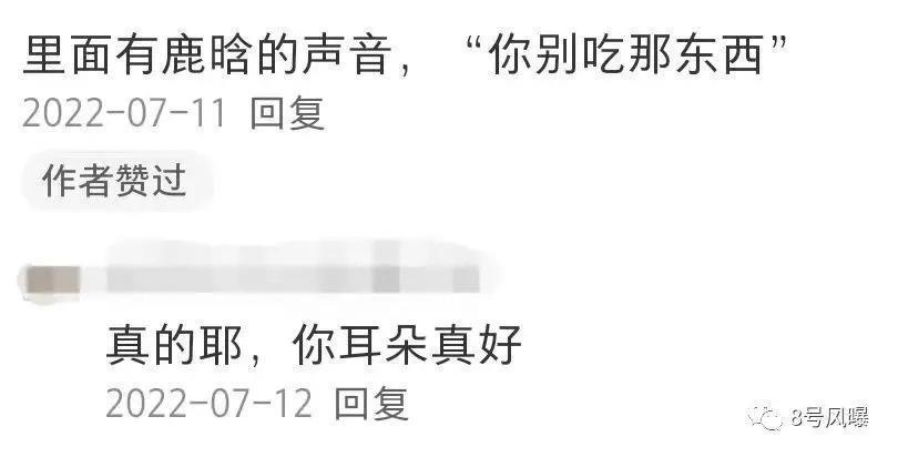 关晓彤鹿晗第N次被传领证、分手，恋情为何屡遭编排？