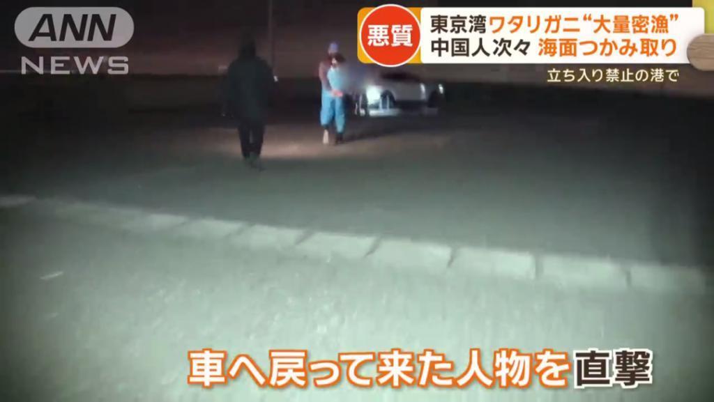 日媒：大量中国人在东京湾狂捞梭子蟹，当地渔民无奈：别来搅乱了！