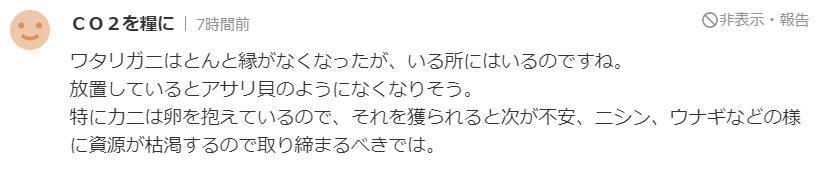 日媒：大量中国人在东京湾狂捞梭子蟹，当地渔民无奈：别来搅乱了！
