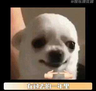 打工人的“年度报告”，比音乐APP歹毒一百倍